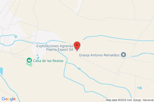 Explotaciones Agricolas Puerto Export - Frutas Y hortalizas Exportaciones