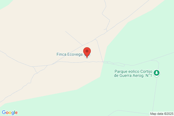 Pacheco Vega c.