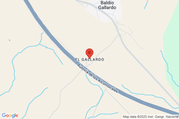 Gallardo Claro j.R.