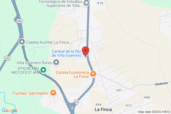 Flores Guerrero a.