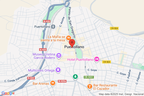 Palacios Salinas p.