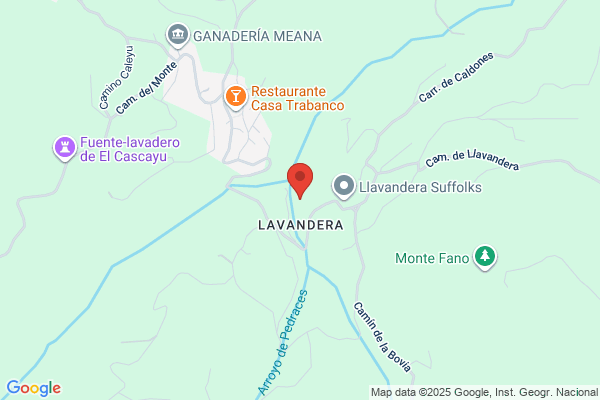 Lavandería Tintorería Ciudad