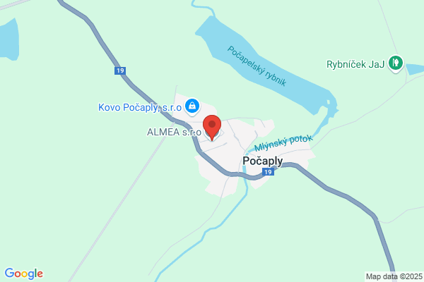 Alcami Almela j.