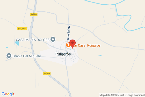 Collegi Public Abad Ruera