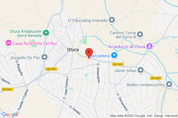 Instalaciones Generales Del Sur S.L.
