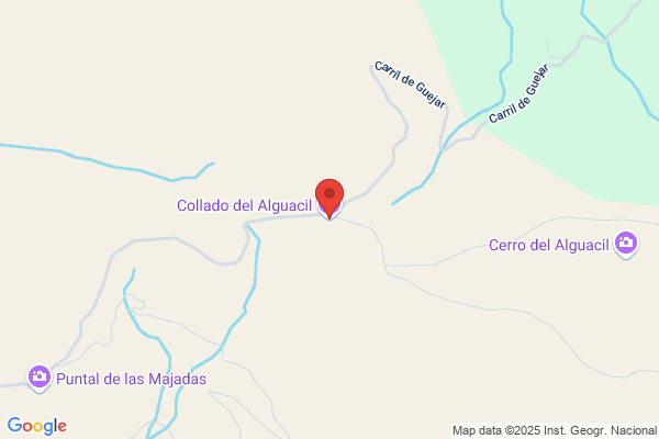 Blas Alguacil m. A. De