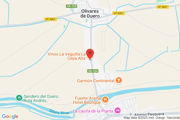Bodegas La Cepa Alta S.L.