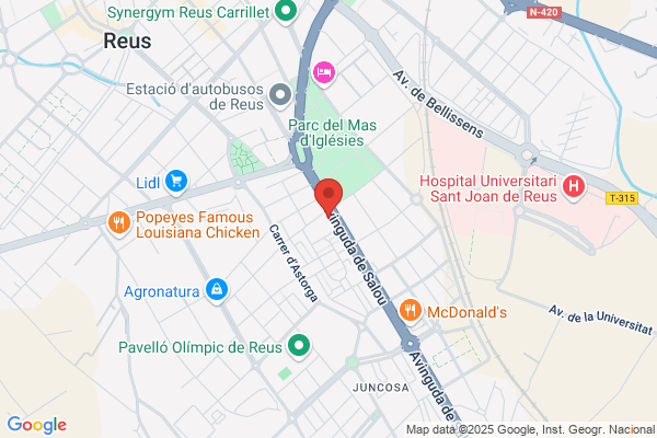 Prous Masdeu j.