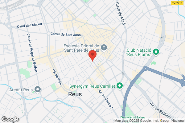 Finques Raval