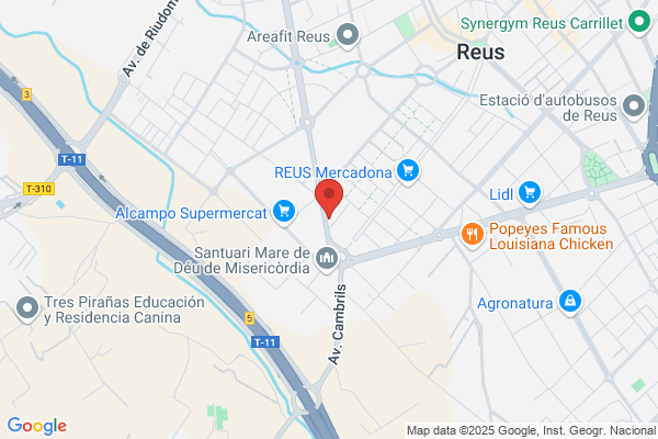 Remsat 2