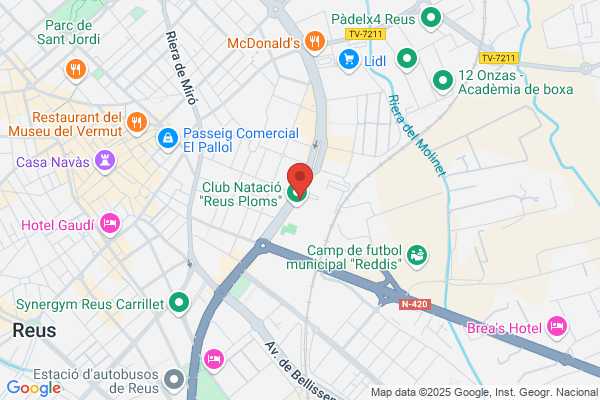 Escola Arce