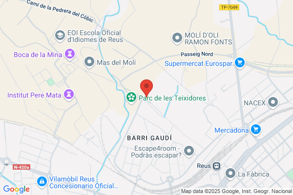 Escola Publica Mowgli