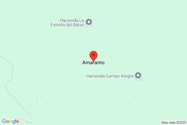 Amaranto, Miguel A. Y Rosa Artiles S.C