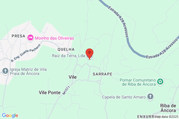 Viveiros Forestais Terra Cha S.L.