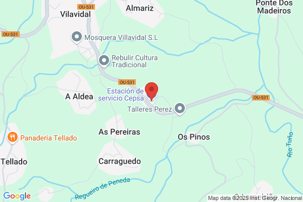 Estacion De Servicio Villavidal