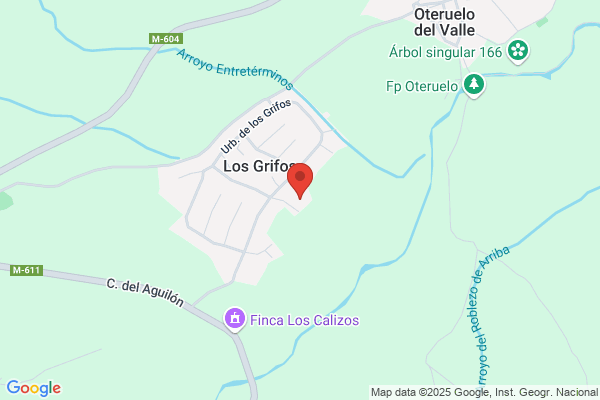 Club Deportivo Los Grifos
