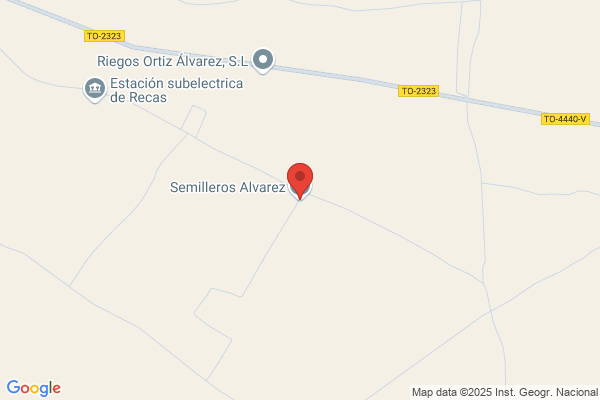 Semilleros Alvarez S.L. - Plantas De Cepellon horticolas