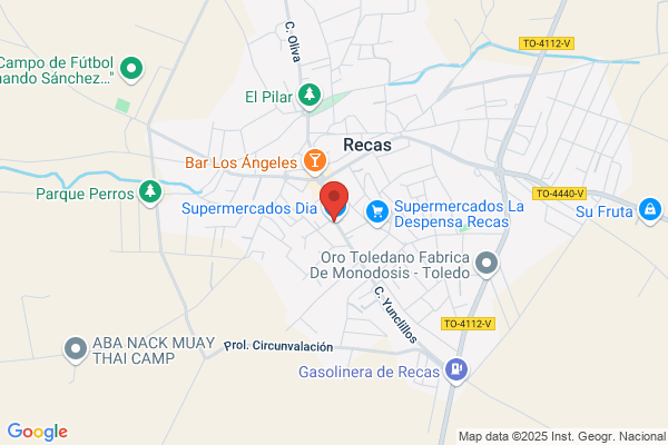 Super Recas S. A.