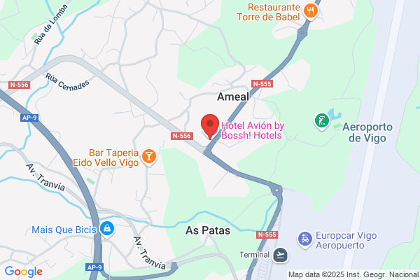 Avion Piñon m.
