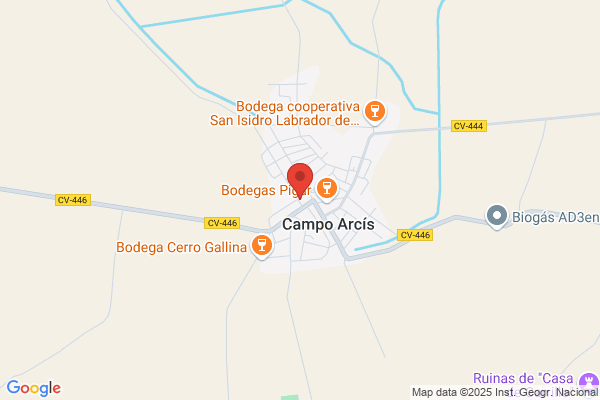 Colegio Publico Campo Arcis