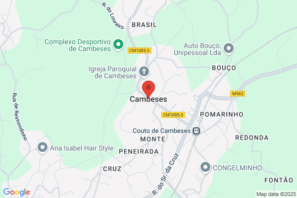 Cambeses Calvo a.