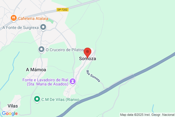 Somoza Viana g.