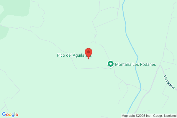Aguila Puig j.
