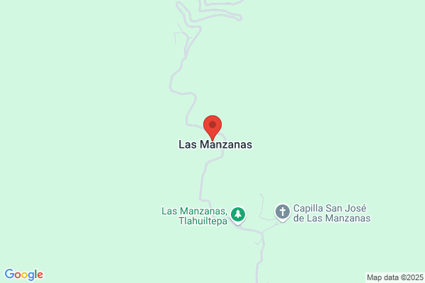 Manzanas Gonzalez n.