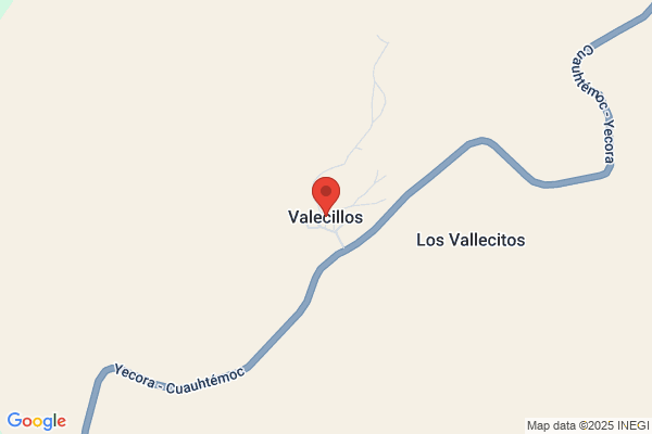 Valecillos Rosales l.