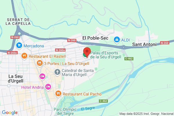 Agrupacio Esportiva Sedis Basquet