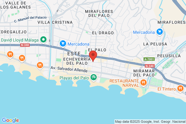 Academia Montes
