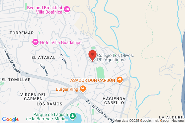Colegio Los Olivos