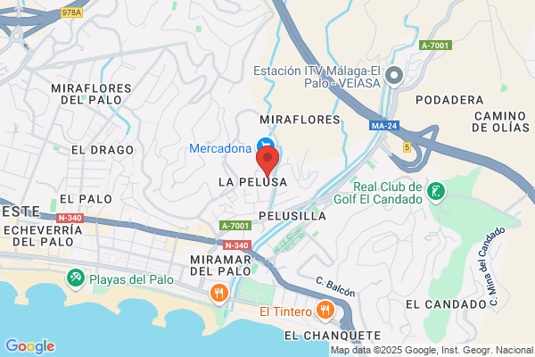 Desarrollo El Palo S.L.