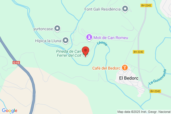 Piera Pineda c.