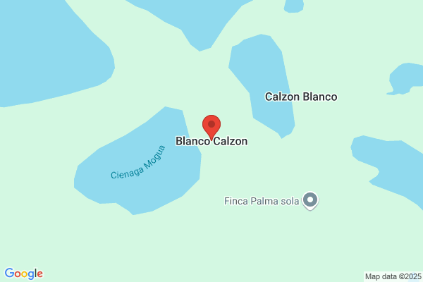 Blanco Calzon p.