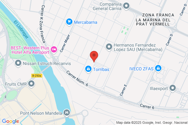 Ruiz Palacios f.
