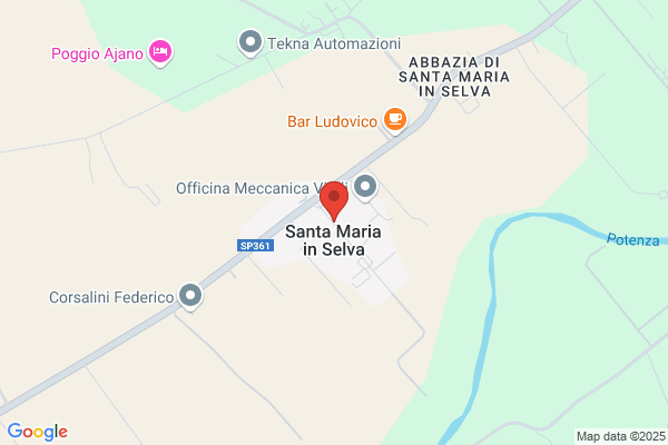 Selva Santamach p.