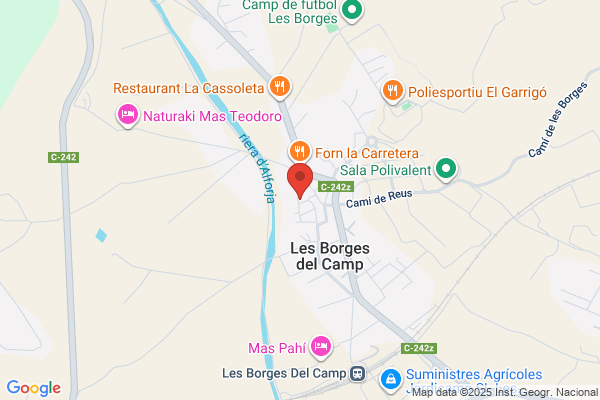 Ajuntament De Les Borges Del Camp