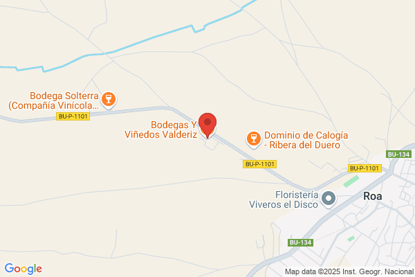 Bodegas Y Vi-Edos Valderiz S.L.