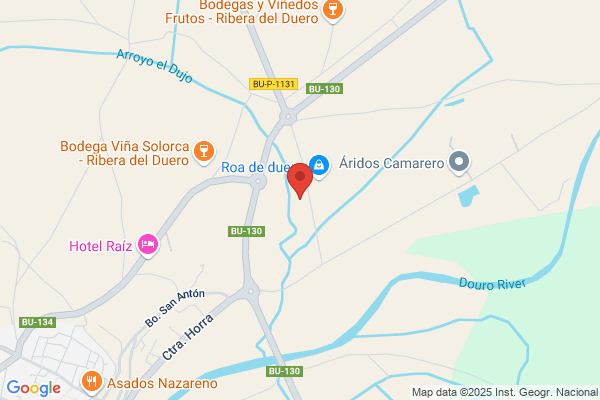 SEI SOLO BODEGAS Y VI?EDOS S.L.