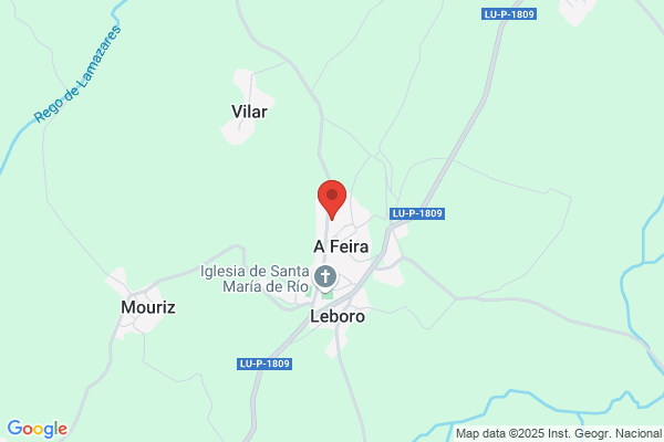 Feijoo E Hijos Scv