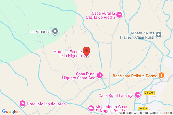 Hotel La Fuente De La Higuera