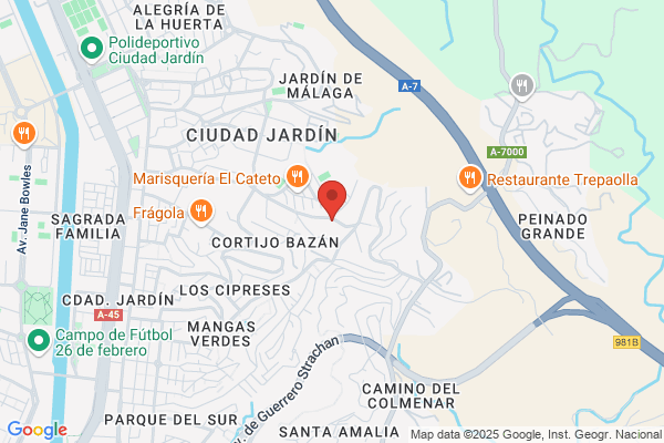 Flores Muñoz s.