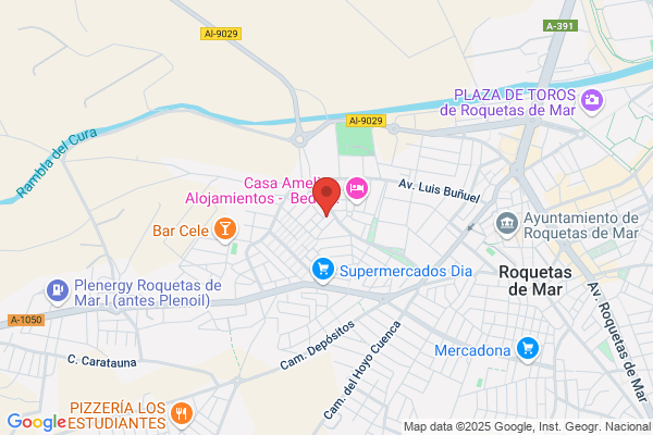Bar Pepe Chivo - Especialidad Pinchitos