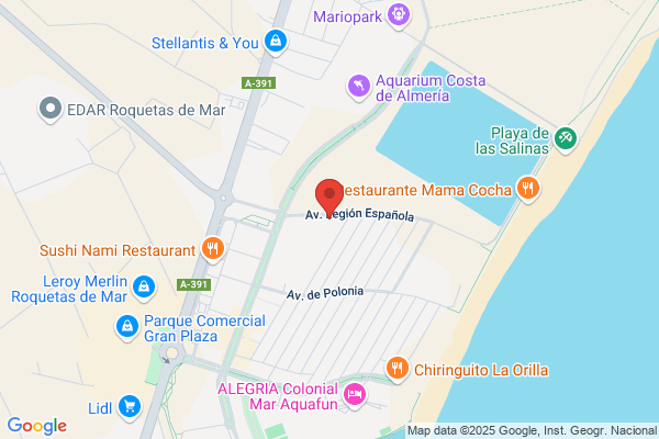 Alpace Almeriense De Paralisis Cerebral