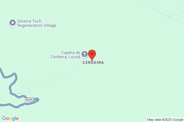 Cerdeira Carreiro v.