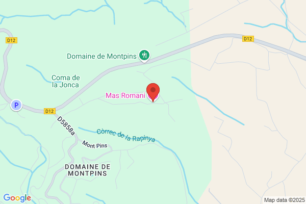 Mas Romani S.A.