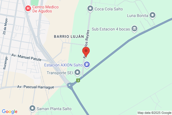 Transportes Y Gruas Salto S. A.