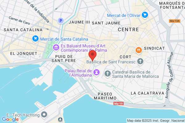 Guijarro Palma s.