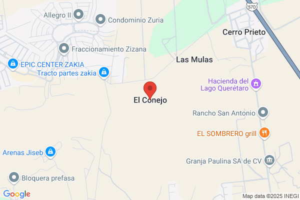Conejo Marquez j.